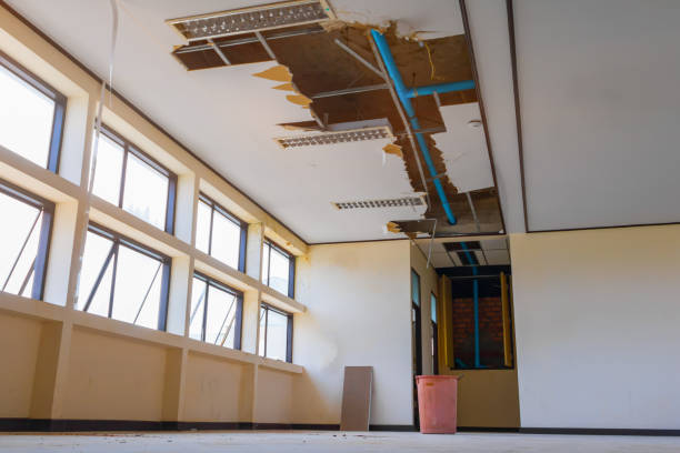  Douglas, AZ Water damage restoration Pros