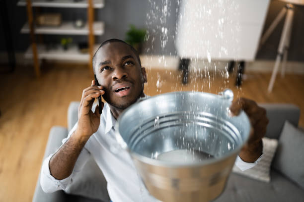 Best Sewage cleanup and water damage restoration  in Douglas, AZ