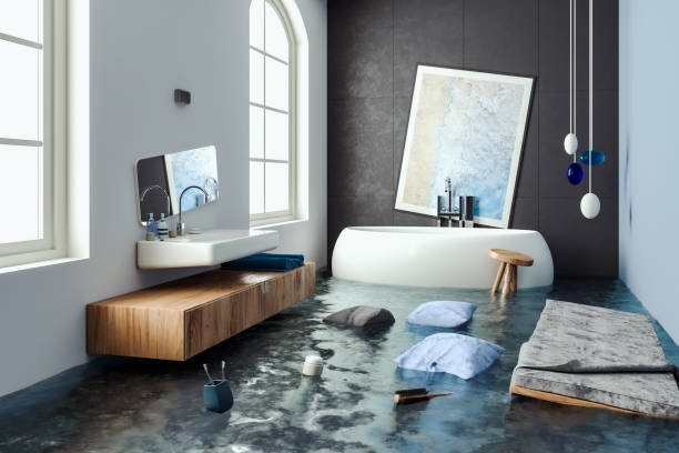 Best Basement water damage restoration  in Douglas, AZ
