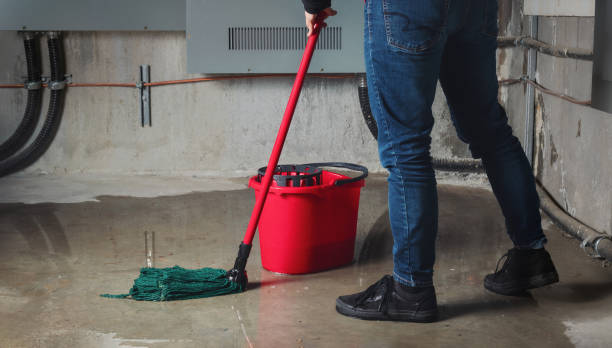 Best Professional water damage repair  in Douglas, AZ