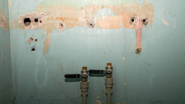 Best Fire Damage Restoration  in Douglas, AZ
