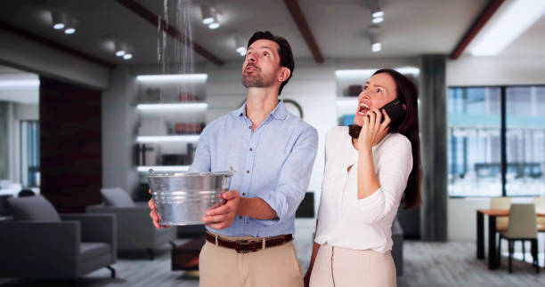Best Local water damage restoration  in Douglas, AZ
